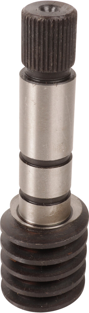 Schnecken (Halterung)