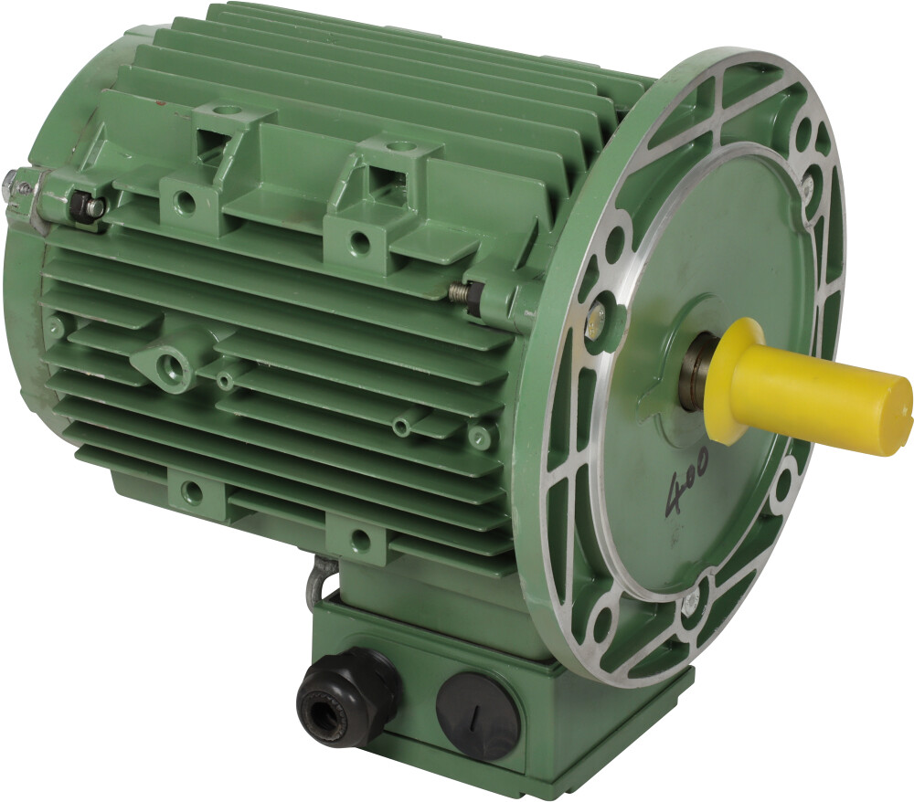 Motor (hoofd)