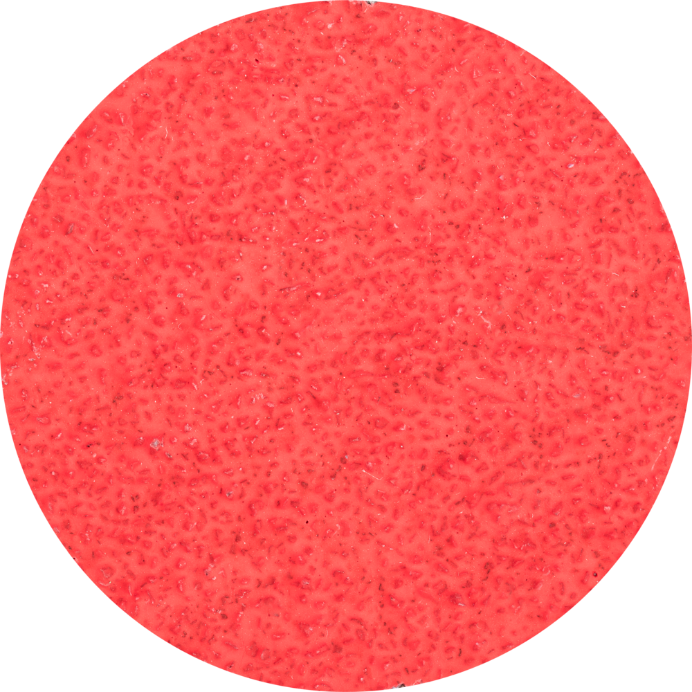 COMBIDISC-Schleifblatt